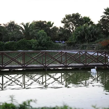 Готель типу 