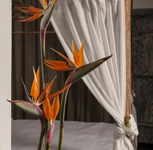 Seven Maze Charming House Bed & Breakfast 3*