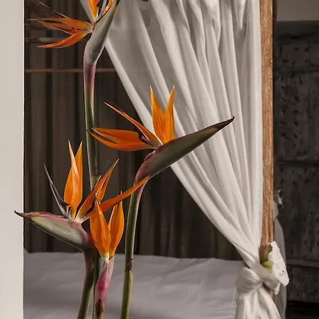 Seven Maze Charming House B&B 3*